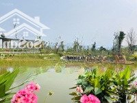 Cam Kết Giỏ Hàng Chính Chủ (Cđt + Chuyển Nhượng) Khu A, B, C - Kđt Sinh Thái Xanh Villas