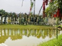 Cam Kết Giỏ Hàng Chính Chủ (Cđt + Chuyển Nhượng) Khu A, B, C - Kđt Sinh Thái Xanh Villas