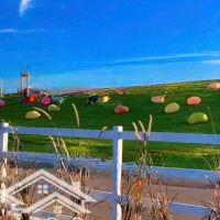Bán Trang Trại View Đẹp Tại Đường Tản Đà, Đam Bri, Bảo Lộc, Lâm Đồng, 8 Triệu / M2, 180M2
