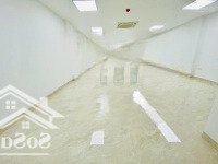 Bán Toà Nhà Vp Tại Kim Mã - 9 Tầng - Thang Máy - Gara Oto - Sẵn Sàng Sang Tên
