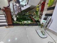 Bán Nhà Mặt Tiền Đào Nguyên Phổ, Giá Thỏa Thuận, 226.8M2, Liên Chiểu, Đà Nẵng