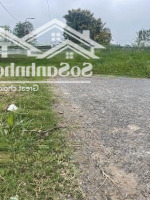 Bán Đất Trục Xã 182M2 Thái Thuần, Thái Thụy, Thái Bình - Giá Đầu Tư