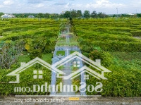 Cần Bán Các Cặp Mộ Đơn, Đôi, Giá Tốt Từ 149 Triệu/Cặp Giá Đã Bao Gồm Chi Phí Sang Tên Và Phí Chăm Sóc