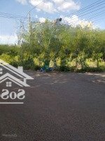 Tài Sản Sang Tên Cho Đứa Con Cần Bán 400M2/ 380 Triệu Có Thổ Cư Mặt Tiền Rộng Đẹp Ở Phú Giáo Bình Dương