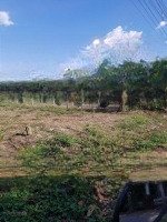 Tài Sản Sang Tên Cho Đứa Con Cần Bán 400M2/ 380 Triệu Có Thổ Cư Mặt Tiền Rộng Đẹp Ở Phú Giáo Bình Dương