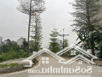 Bán Đất Nền 67.5M2, 126 Triệu Đấu Giá Cây Sung Đan Phượng, Hà Nội