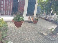 Hot: Bán Nhà Trệt 7,5X25M ( Sổ Riêng 187M2 Vay Bank ) Mặt Tiền 6M Hẻm Thẳng. 80 Nguyễn Bình. Nhà Bè