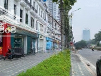 Chuyển Nhượng Bt Embassy Garden Mặt Đường Đôi Nguyễn Văn Huyên 226.4M2 Giá Tt. 0977434515