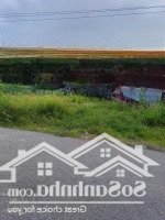 Cách Đt 781 Vào 500M Giáp Ranh Hồ Dầu Tiếng, Tt Dmcdiện Tích12X70M Giá Chỉ 1Ty050 Đất Cao Ráo Dân Đông
