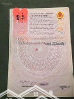 Sổ Ms Keng, Đất Đầu Tư Có 3 Lô Liền Kề Dưới 4 Tỷ, Đường Nhựa Đẹp 8M, Sát Bên Gò Vấp 1 Km