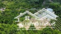 Chính Chủ Cần Bán 2600M2 Đất Có 400M2 Thổ Cư Gần Chùa Tiên, Lạc Thủy, Hòa Bình