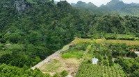 Chính Chủ Cần Bán 2600M2 Đất Có 400M2 Thổ Cư Gần Chùa Tiên, Lạc Thủy, Hòa Bình