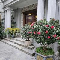 Bán biệt thự siêu sang 329m² – khu Hoa Lan Vinhomes Riverside, thang máy – sổ đỏ chính chủ