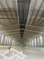 Chính Chủ: Cho Thuê Kho Tại Đường Kiêu Kỵ, Gia Lâm, Hà Nội. Kho Tiêu Chuẩn