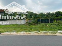 Bán Lô Đất Nền 85M2 Sổ Riêng, Thổ Cư - Cách Vành Đai 3 Chỉ 1Km - Cách Q12 Và Hóc Môn Chỉ 2Km