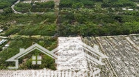 Chỉ Cần 350 Triệu Sở Hữu Ngay Lô Đất 205M2, Kcn Minh Hưng, Chơn Thành, Mặt Đường 6M.