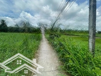 Bán Đấu Giá Thửa Đất Số 444, Tbđ Số 2, Phường 7, Thành Phố Tân An, Tỉnh Long An