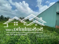 Bán Đấu Giá Thửa Đất Số 444, Tbđ Số 2, Phường 7, Thành Phố Tân An, Tỉnh Long An
