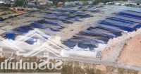 Bán Nhà Xưởng Mới Tại Khánh Bình 60, Tân Uyên, Bình Dương - Thu Nhập 9 Tỷ / Năm