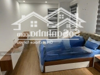 Chính Chủ Cần Cho Thuê Căn Hộ Mhdi Lê Đức Thọ 3N Full Giá 14 Triệu