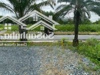 Bán Rẻ Bất Ngờ! Đất Mặt Tiền Đặng Thanh Hiếu, P.phú Hữu, Tp Thủ Đức, Chỉ 65 Triệu/M2!