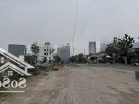 Mặt Đường Bạch Thái Bưởi Duy Nhất 1 Lô Xót Lại