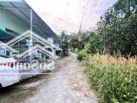 Chủ Cần Bán Gấp Lô Đất Phú Mỹ Nhánh Dx013 Ngang 6M Vị Trí Khu Dân Đông Xây Nhà Tuyệt Vời Chỉ 1Ty950