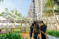 Mua Nhà The Glory Ngay Cạnh Siêu Thị Aeon Thứ 2 Của Thành Phố Mới, 2025 Siêu Tiện Lợi Cho Cư Dân