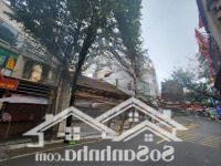 Bán Đất Mặt Phố Thụy Khuê 89M2Mặt Tiềnquyền Lực 9M Vỉa Hè Rộng - Kinh Doanh Đỉnh - Cực Thoáng Chỉ 24 Tỷ
