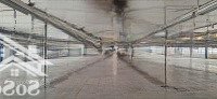 Cho Thuê Kho Xưởng 1.600M2, Có Pccc - Mặt Tiền Hương Lộ 80B, Q.12