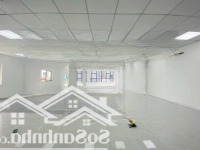 Bán Tòa Nhà Mặt Tiền Lê Văn Sỹ, P: 14, Q. 3 (Dt: 8X20M - 5 Lầu - Hđt: 200 Triệu - Gía: 45 Tỷ)