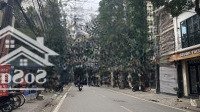 Bán Nhà 6 Tầng Phố Cao Bá Quát Ngay Ngã Tư Hoàng Diệu Cao Bá Quát P.điện Biên 14 Tỷ