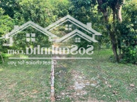 Đất Đẹp Tại Quốc Lộ 21A, Phú Nghĩa, Lạc Thủy, Hòa Bình, 4,5 Tỷ, 6200 M2