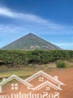 Cần Tiền Bán Gấp 1000M2 Đất Trồng Mãn Cầu View Núi Bà Sát Tt Dmc View Đẹp Thích Hợp Xây Cfe Homstay