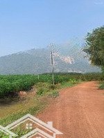 Cần Tiền Bán Gấp 1000M2 Đất Trồng Mãn Cầu View Núi Bà Sát Tt Dmc View Đẹp Thích Hợp Xây Cfe Homstay