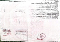 Bán Lô Đất Phường Tân Đông Hiệp, Tp. Dĩ An, Bình Dương