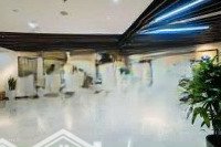 Cho Thuê Mặt Bằng Kinh Doanh Phố Trần Nguyên Đán,Diện Tích300M2 X 4 Tầng,Mặt Tiền7M Vị Trí Siêu Đẹp