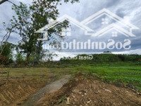 Bán Gấp 3500M2 Tuyệt Đẹp Bám Suối Thác Giá Rẻ Tân Lạc, Hoà Bình Chính Chủ