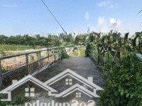 Chủ Cần Bán Lô Đất Nông Nghiệp Thuộc Xã Phú Hữu Có Đường Vào Sẳn Chồi Và Chuồng Trại