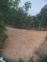 Hàng Đầu Tư Lướt Tại Trung Tâm Sầm Uất Bình Phước Giá Chỉ Bằng 1 Căn Nhà Hẻm Nhỏ Sài Gòn