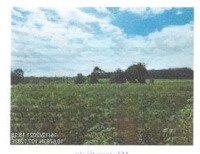Bán Đgts Tại Tđ 185, Tbđ 24, Kp3, Phường Hắc Dịch, Thị Xã Phú Mỹ, Tỉnh Bà Rịa - Vũng Tàu