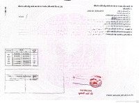Lô Góc 2 Mặt Tiền Đẹp Nhất Khu Đấu Giá Quỳnh Hoàng, Nam Sơn, An Dương, Hải Phòng