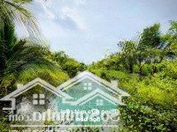 Đất Thổ Cư 7000M2 Ao Hồ Giá Rẻ Có Thổ Cư 400M2 Giật Cắt Lỗ Sâu
