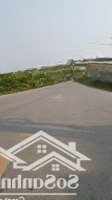 Bán Đất Tặng Nhà! 150M2Mặt Tiền5M, Đường 15M Trung Tỉnh, Thụy Liên, Thái Thụy. Kd Sầm Uất. Giá Bán 2,8 Tỷ