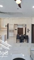 Cho Thuê Căn Hộ Cao Cấp Diamond Centery Celeadon City Tân Phú