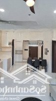Cho Thuê Căn Hộ Cao Cấp Diamond Centery Celeadon City Tân Phú