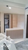 Cho Thuê Căn Hộ Cao Cấp Diamond Centery Celeadon City Tân Phú