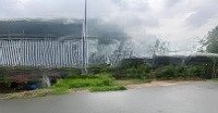 Chủ Bán Lô Đất 240M2 Đ. Cây Da Xã Tân Phú Trung Củ Chi, Sổ Hồng Riêng, Gần Full Thổ Cư, Giá Bán 1.86 Tỷ