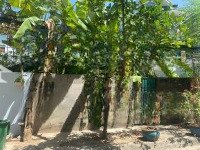 Đường Nội Bộ Trần Não,Diện Tích10X30M - 305M2, Đơn Giá Tốt, Tiện Biệt Thự, Vp Cty