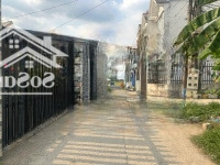 Đất Đẹp Xây Trọ, Nhà Ở 1/ Gò Hưu, Gần Kcn Hoàng Gia, Khu Vực Nhiều Công Nhân, Oto Vào Tới Đất